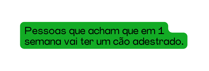 Pessoas que acham que em 1 semana vai ter um cão adestrado